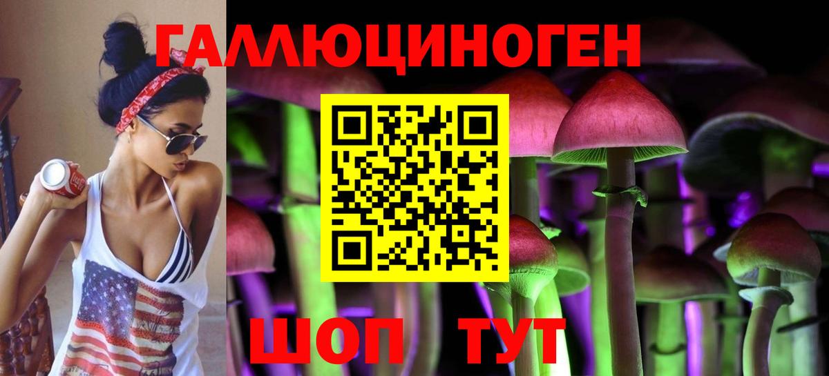 Псилоцибиновые грибы Cubensis Сегежа