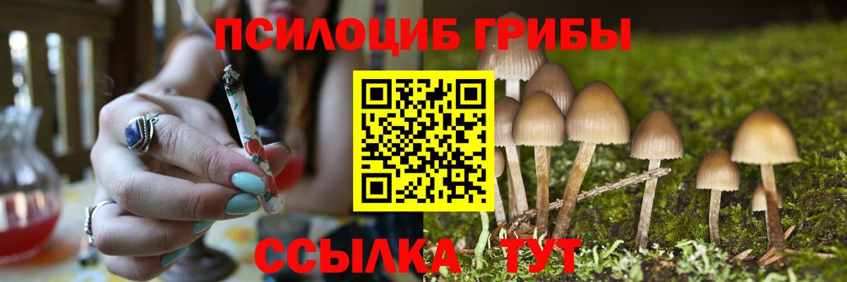 Галлюциногенные грибы GOLDEN TEACHER  Вход с VPN  где купить   Сегежа 